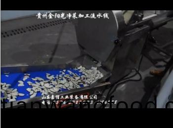 貴(gui)州(zhou)金(jin)陽光(guang)淨菜加(jia)工(gong)流(liu)水線(xian)