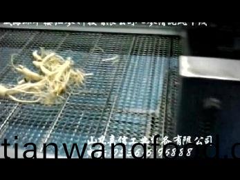  威海(hai)環翠(cui)樓人蓡清洗(xi)風(feng)榦線